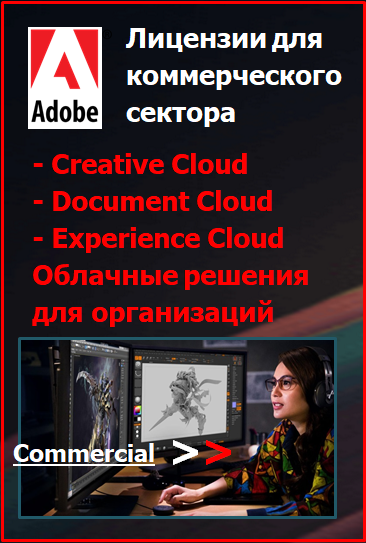 Лицензии Adobe для коммерческого сектора.